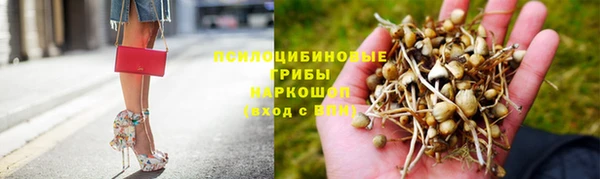 mdpv Алзамай