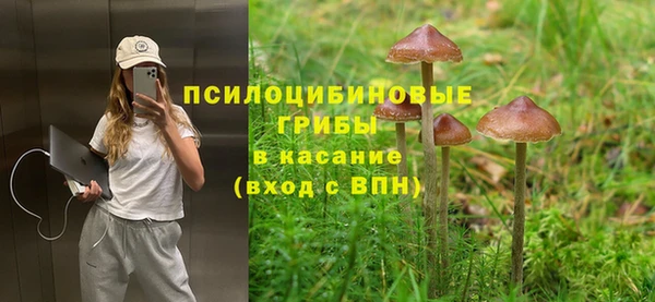 амфетамин Алексин