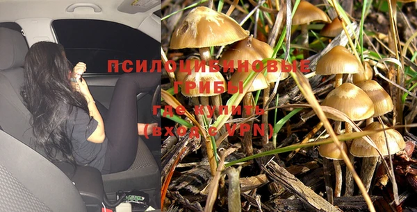 амфетамин Алексин